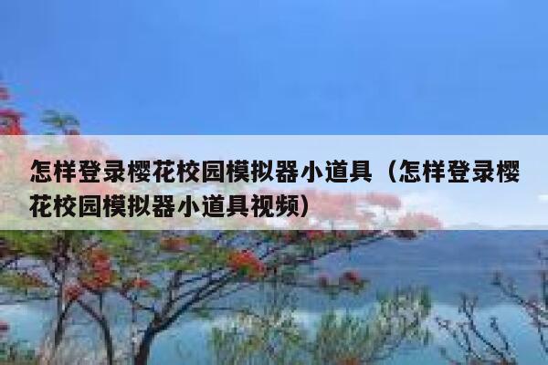 怎样登录樱花校园模拟器小道具（怎样登录樱花校园模拟器小道具视频） 第1张