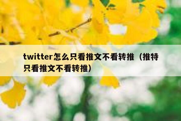 twitter怎么只看推文不看转推（推特只看推文不看转推） 第1张