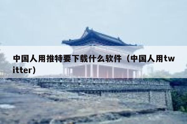 中国人用推特要下载什么软件（中国人用twitter） 第1张