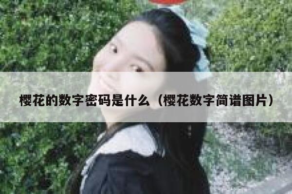 樱花的数字密码是什么（樱花数字简谱图片） 第1张