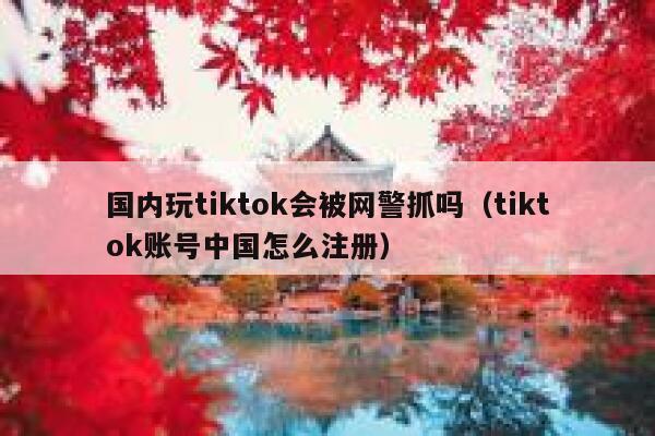 国内玩tiktok会被网警抓吗（tiktok账号中国怎么注册） 第1张