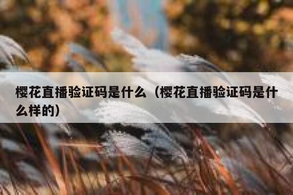 樱花直播验证码是什么（樱花直播验证码是什么样的） 第1张