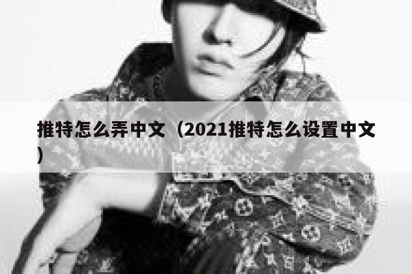 推特怎么弄中文（2021推特怎么设置中文） 第1张