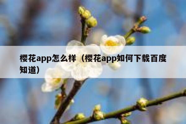 樱花app怎么样（樱花app如何下载百度知道） 第1张