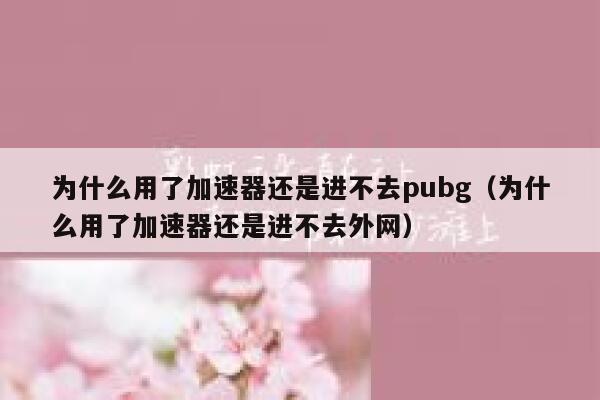 为什么用了加速器还是进不去pubg（为什么用了加速器还是进不去外网） 第1张