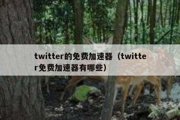 twitter的免费加速器（twitter免费加速器有哪些） 第1张