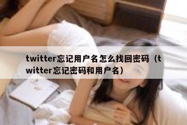 twitter忘记用户名怎么找回密码（twitter忘记密码和用户名） 第1张