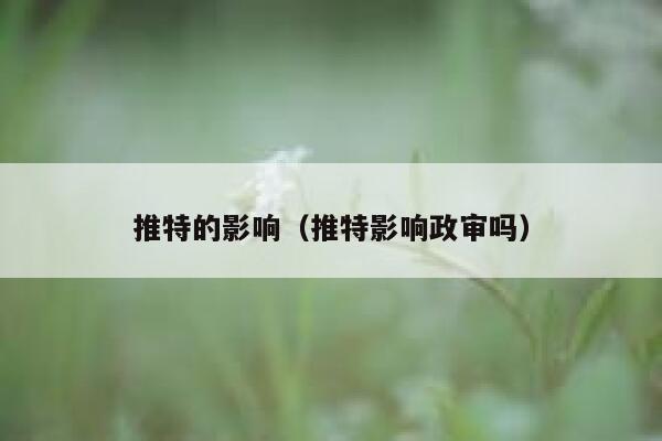 推特的影响（推特影响政审吗） 第1张