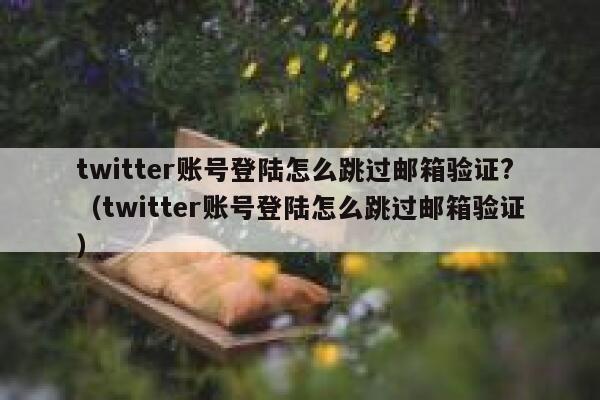 twitter账号登陆怎么跳过邮箱验证?（twitter账号登陆怎么跳过邮箱验证） 第1张