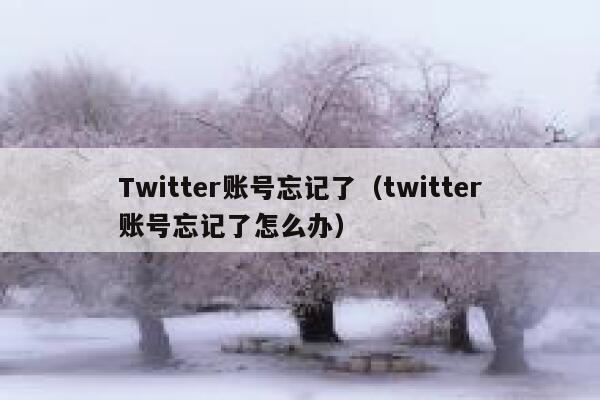 Twitter账号忘记了（twitter账号忘记了怎么办） 第1张