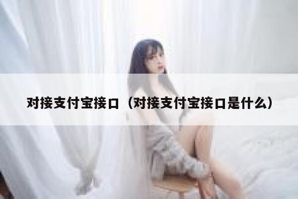 对接支付宝接口（对接支付宝接口是什么） 第1张