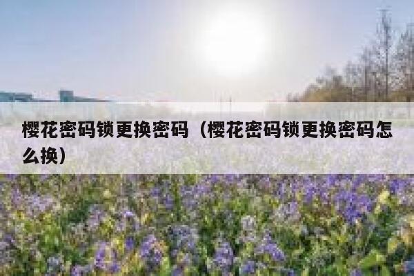 樱花密码锁更换密码（樱花密码锁更换密码怎么换） 第1张
