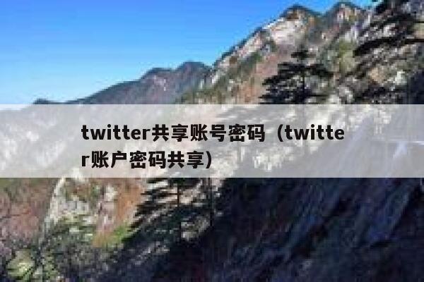 twitter共享账号密码（twitter账户密码共享） 第1张