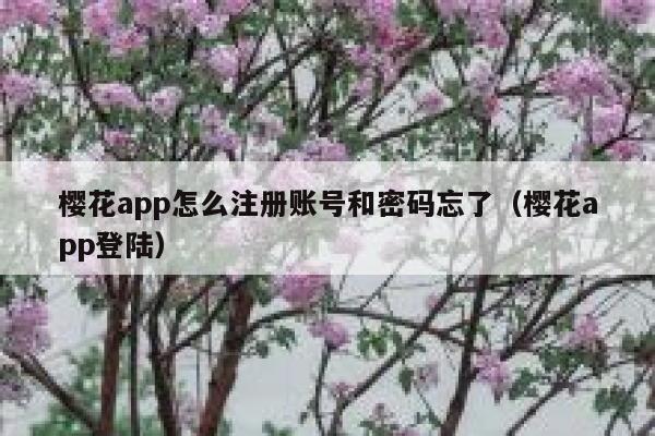 樱花app怎么注册账号和密码忘了（樱花app登陆） 第1张