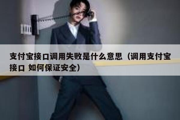 支付宝接口调用失败是什么意思（调用支付宝接口 如何保证安全） 第1张