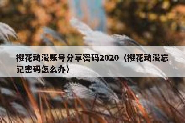 樱花动漫账号分享密码2020（樱花动漫忘记密码怎么办） 第1张