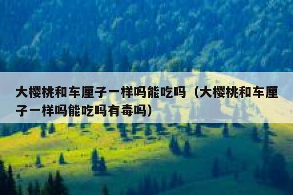 大樱桃和车厘子一样吗能吃吗（大樱桃和车厘子一样吗能吃吗有毒吗） 第1张