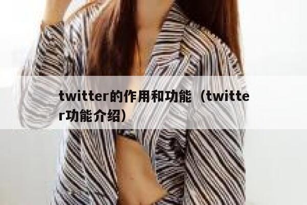 twitter的作用和功能（twitter功能介绍） 第1张