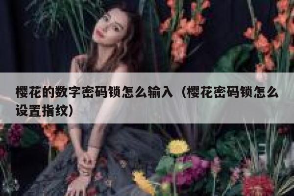 樱花的数字密码锁怎么输入（樱花密码锁怎么设置指纹） 第1张