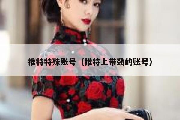 推特特殊账号（推特上带劲的账号） 第1张