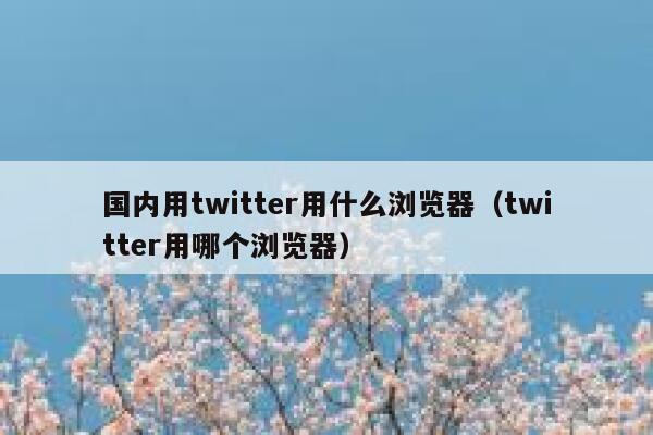 国内用twitter用什么浏览器（twitter用哪个浏览器） 第1张