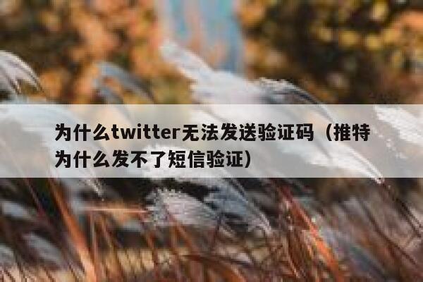 为什么twitter无法发送验证码（推特为什么发不了短信验证） 第1张