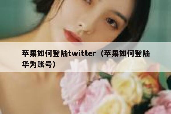 苹果如何登陆twitter（苹果如何登陆华为账号） 第1张