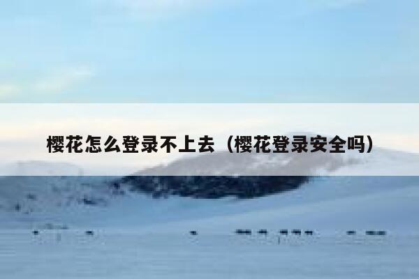 樱花怎么登录不上去（樱花登录安全吗） 第1张