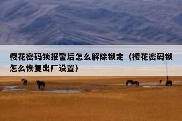 樱花密码锁报警后怎么解除锁定（樱花密码锁怎么恢复出厂设置） 第1张
