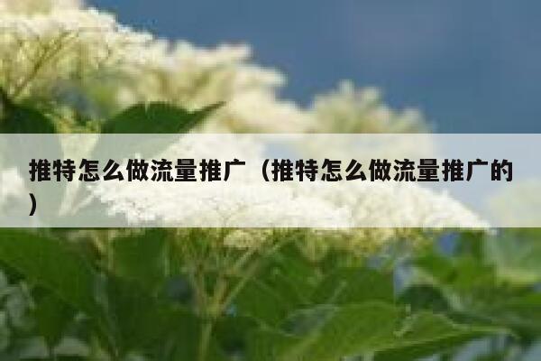 推特怎么做流量推广（推特怎么做流量推广的） 第1张