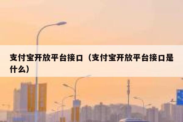 支付宝开放平台接口（支付宝开放平台接口是什么） 第1张