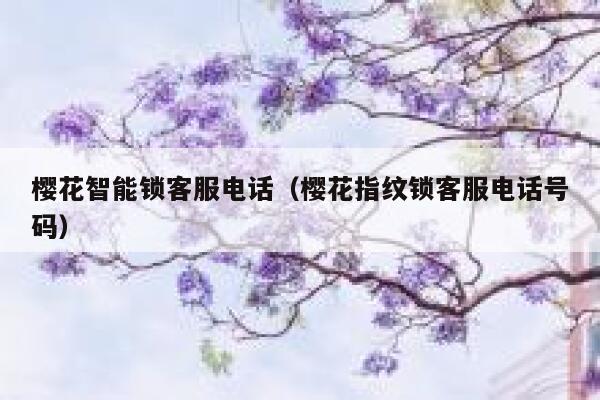 樱花智能锁客服电话（樱花指纹锁客服电话号码） 第1张