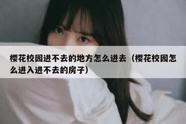 樱花校园进不去的地方怎么进去（樱花校园怎么进入进不去的房子） 第1张