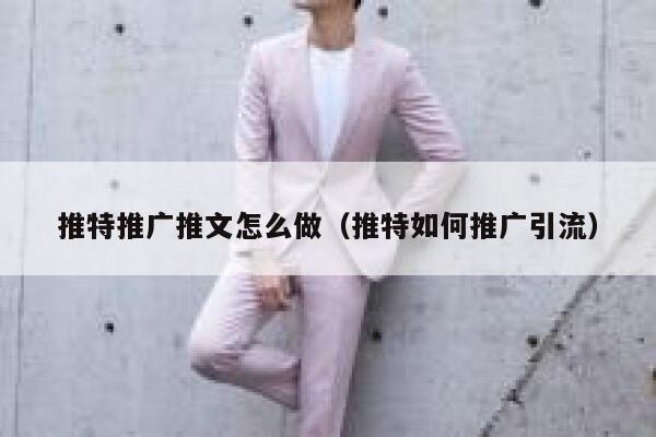 推特推广推文怎么做（推特如何推广引流） 第1张