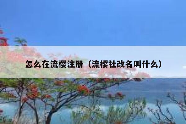 怎么在流樱注册（流樱社改名叫什么） 第1张