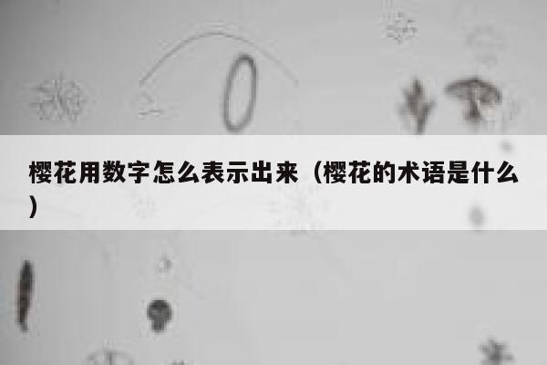 樱花用数字怎么表示出来（樱花的术语是什么） 第1张