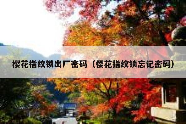 樱花指纹锁出厂密码（樱花指纹锁忘记密码） 第1张