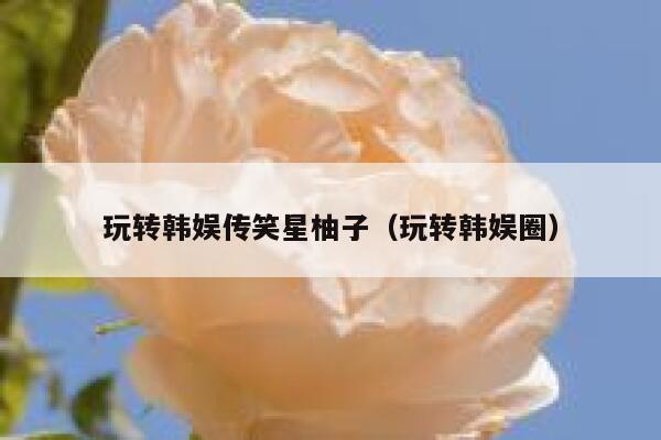 玩转韩娱传笑星柚子（玩转韩娱圈） 第1张