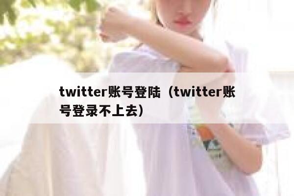 twitter账号登陆（twitter账号登录不上去） 第1张