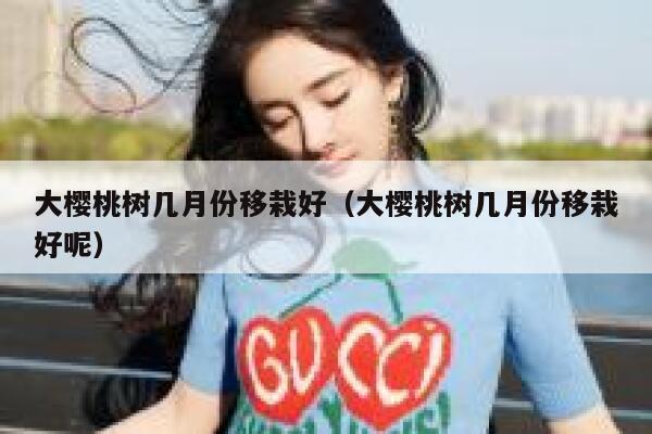 大樱桃树几月份移栽好（大樱桃树几月份移栽好呢） 第1张