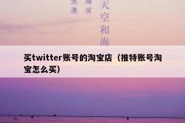 买twitter账号的淘宝店（推特账号淘宝怎么买） 第1张