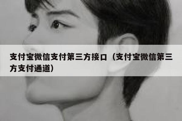 支付宝微信支付第三方接口（支付宝微信第三方支付通道） 第1张