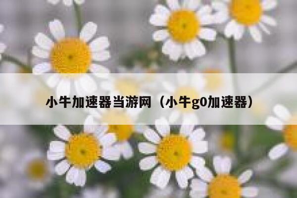 小牛加速器当游网（小牛g0加速器） 第1张