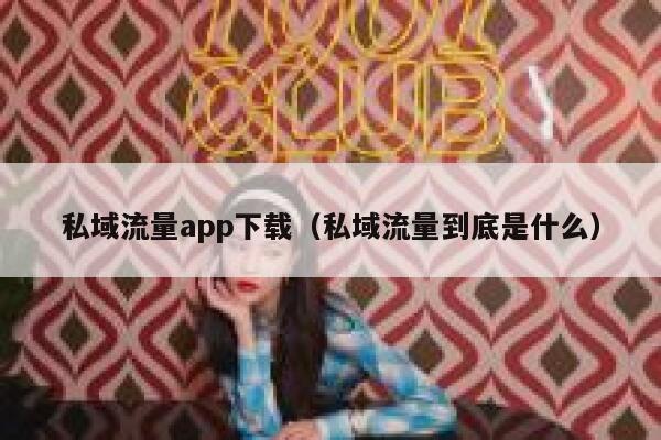 私域流量app下载（私域流量到底是什么） 第1张