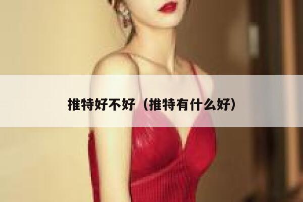 推特好不好（推特有什么好） 第1张