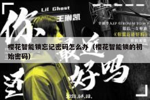 樱花智能锁忘记密码怎么办（樱花智能锁的初始密码） 第1张