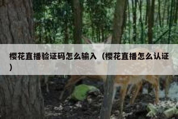 樱花直播验证码怎么输入（樱花直播怎么认证） 第1张