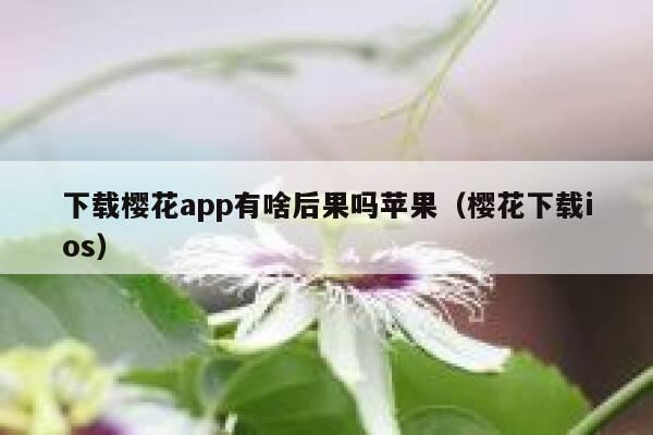 下载樱花app有啥后果吗苹果（樱花下载ios） 第1张