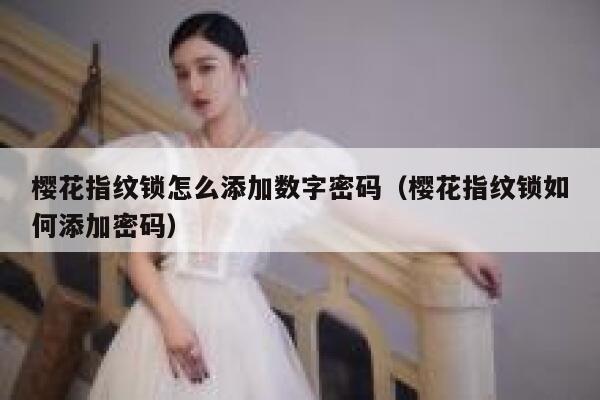 樱花指纹锁怎么添加数字密码（樱花指纹锁如何添加密码） 第1张