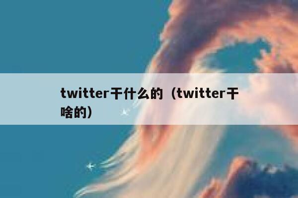 twitter干什么的（twitter干啥的） 第1张